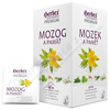 HERBEX Mozek a paměť n.s.20x1.5g