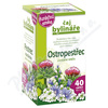 Čaj Bylináře Ostropestřec jaterní směs 40x1.5g