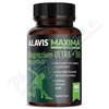 ALAVIS MAXIMA Magnezium ULTRA+B6 cps.60