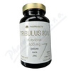 Tribulus 90% Kotvičník 500mg tob.90