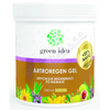 Green idea Artroregen gel 250ml+50ml 20% NAVÍC