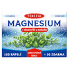 TEREZIA Magnesium+vit.B6 a meduňka cps.120+30